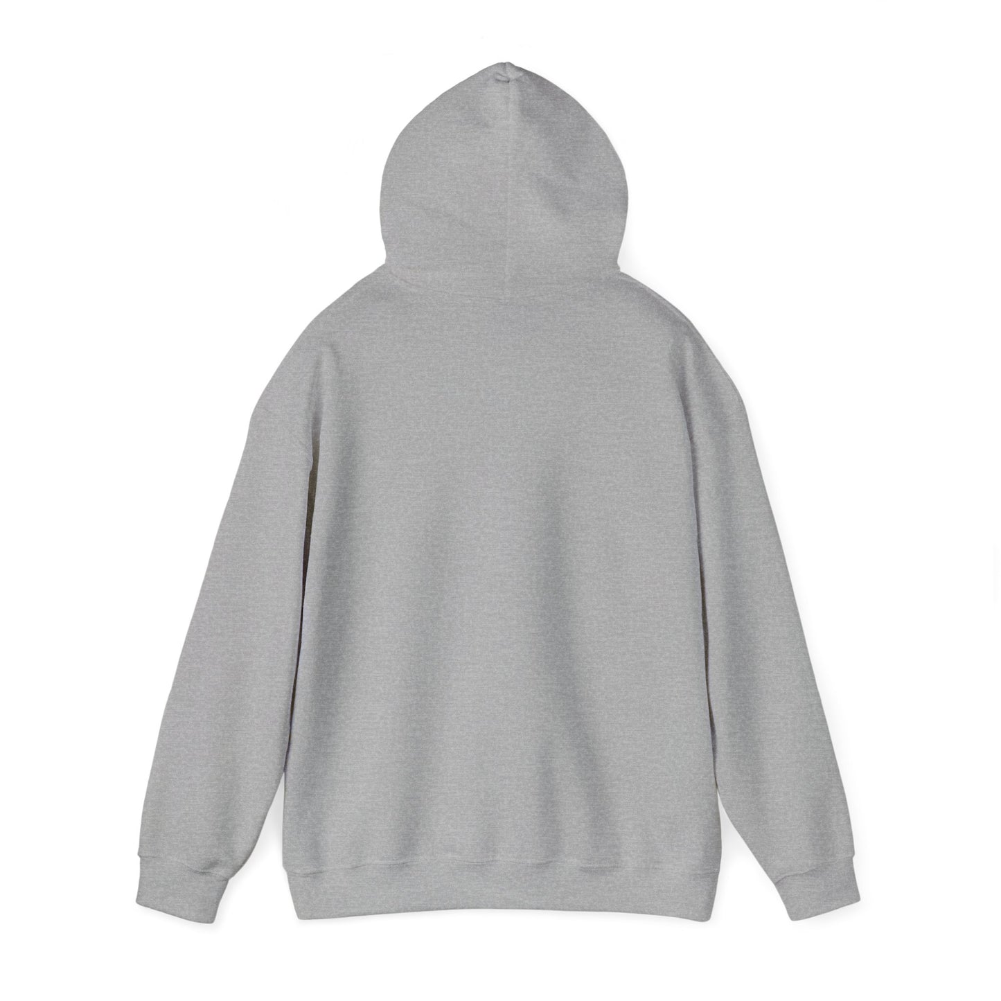 Main Visual Hooded Sweatshirt