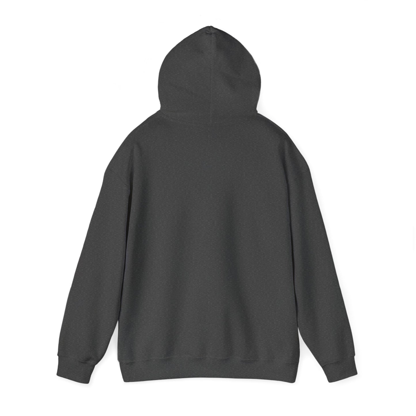 Main Visual Hooded Sweatshirt